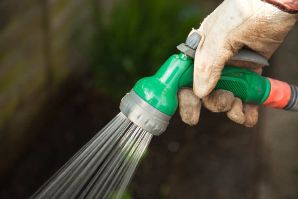 istock Watering the garden 183891453