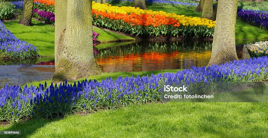 Frühling in einem park - Lizenzfrei Anbau von Rasen Stock-Foto