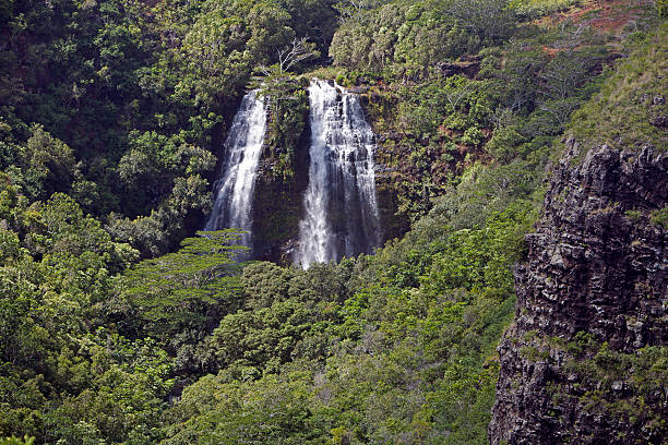 istock Opaeka'a Falls Kauai 183891862