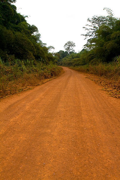 istock Gabon, interior highway, dry season dust. 183892203