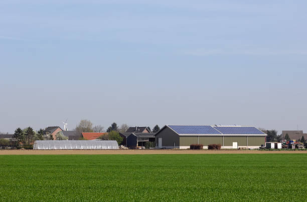 istock Modern farm with solar panels and a vernal field 183892572