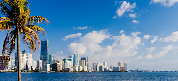 Panoramic view of the Brickell and downtown Miami city skyline, Florida, USA. View across Biscayne Bay framed with palm trees and with blue sky and white clouds.