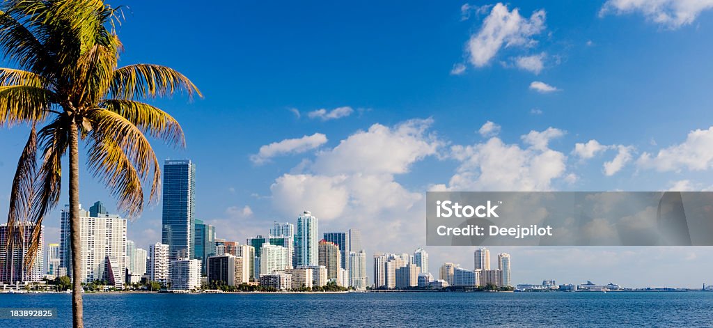 Miami Brickell City Skyline Florida USA Panoramic view of the Brickell and downtown Miami city skyline, Florida, USA. View across Biscayne Bay framed with palm trees and with blue sky and white clouds. Miami Stock Photo