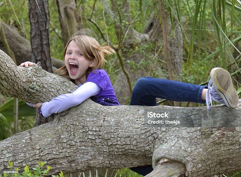 Jovem caindo da árvore. - Royalty-free 10-11 Anos Foto de stock
