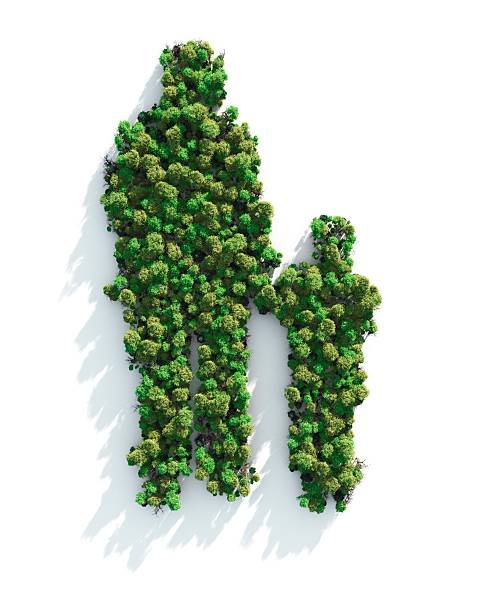 istock Green Family 183892865