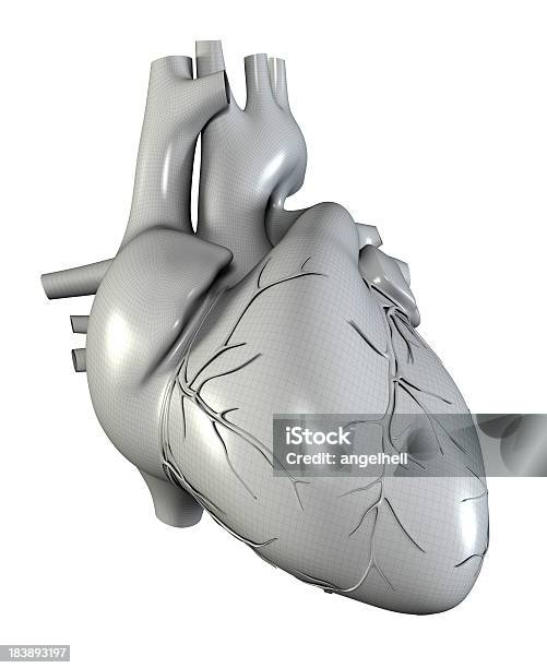 Foto de Coração Humano e mais fotos de stock de Tridimensional - Tridimensional, Válvula - Vaso sanguíneo, Anatomia