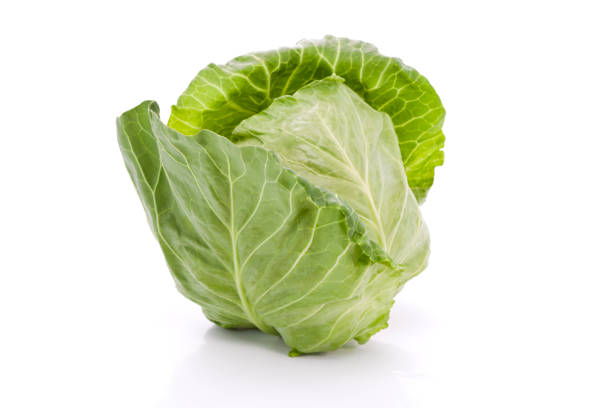 Cabbage stock photo