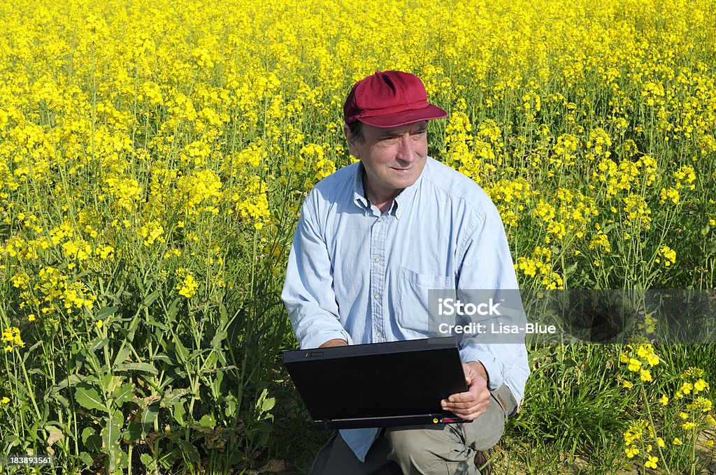 Farmer con PC en un Canola Field - Foto de stock de Agricultor libre de derechos