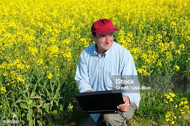Farmer Con Pc En Un Canola Field Foto de stock y más banco de imágenes de Agricultor - Agricultor, Colza, Sonreír