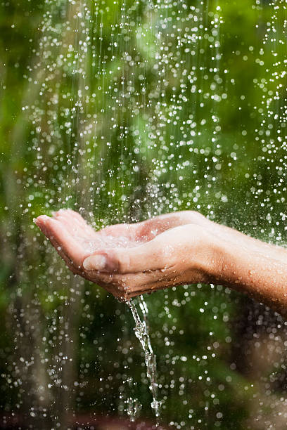 istock Close up portrait, hands on tropical rain. 183893878