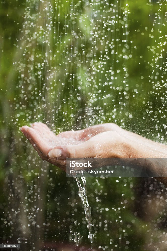 Close up portrait, hands on tropical rain. "Outstretched hands on the tropical rain, water droplets falling into the hands." Adult Stock Photo