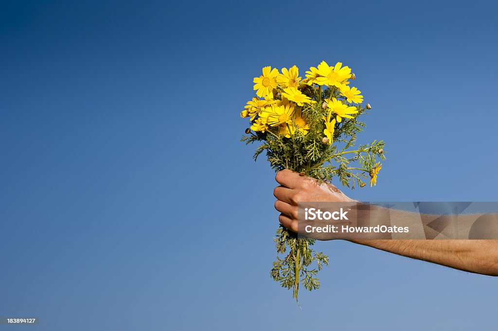 Hand Giving Yellow Flowers Stock Photo Download Image Now Blue hand-giving-yellow-flowers-stock-photo-download-image-now-blue
