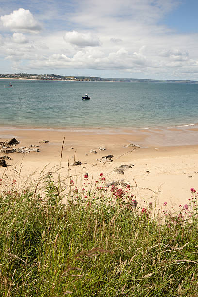 istock Beach on Caldey Island in Pembrokeshire 183894174