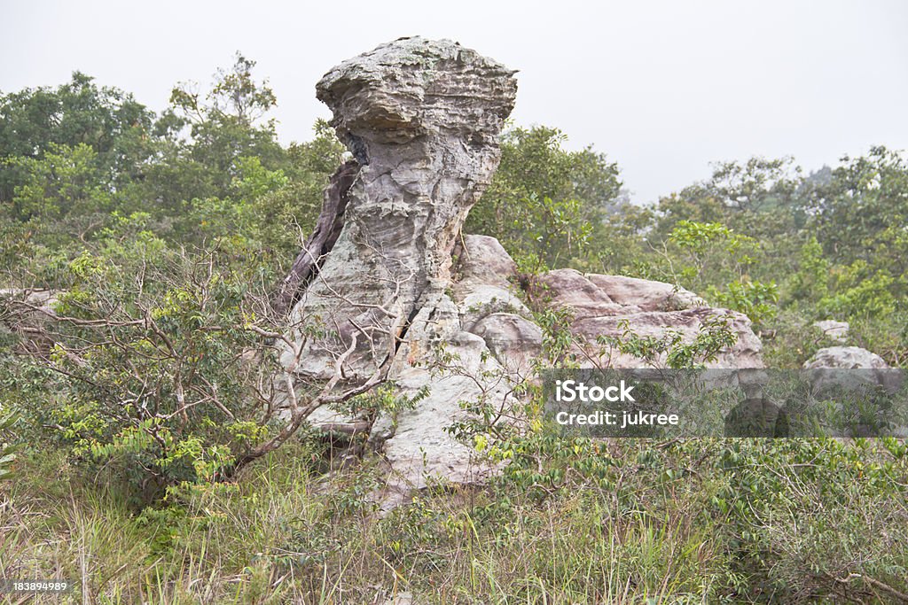 Pa Hin Ngam Parc National de Thaïlande - Photo de Archéologie libre de droits