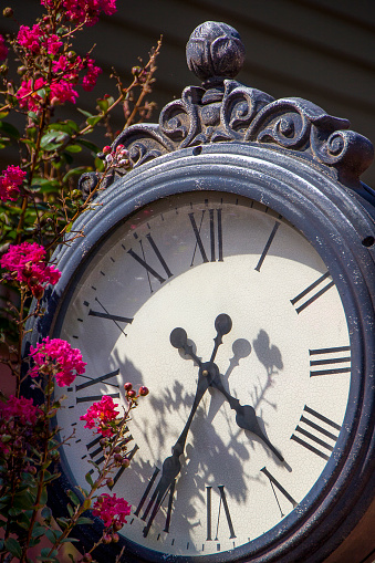 Vintage black cast iron sidewalk clock, with a tree bearing red blossoms at State Circle in Annapolis MD