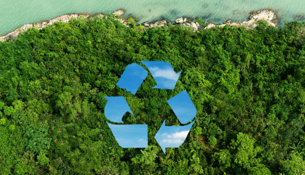 istock Recycling symbol above green forest 1838960764