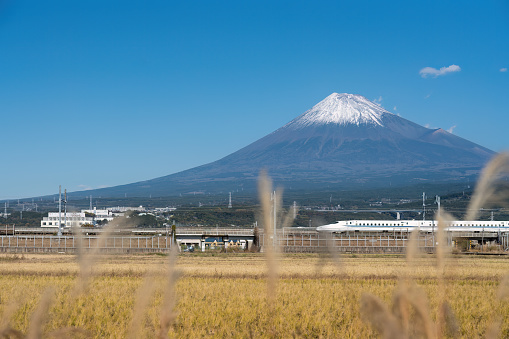 Shizuoka, Japan - December, 01 2023 : High Speed Bullet Train Tokaido Shinkansen and Fuji mountain with rice field, Fuji, Shizuoka, Japan.