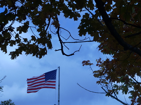 American glag in blue sky through folaige