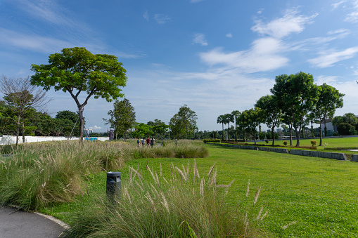 A field of grass located near Marina Barrage, a dam in southern Singapore.