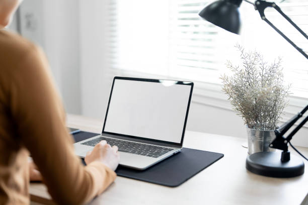 Back view of business woman using laptop computer at home office, mock up blank white screen.