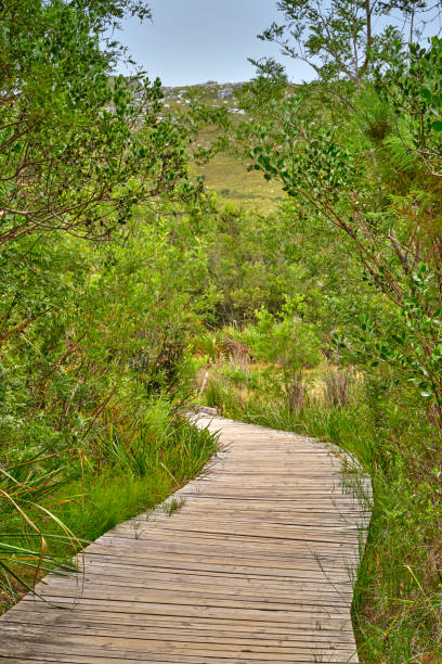 istock Mountain trails and roads - Western Cape 1839022081