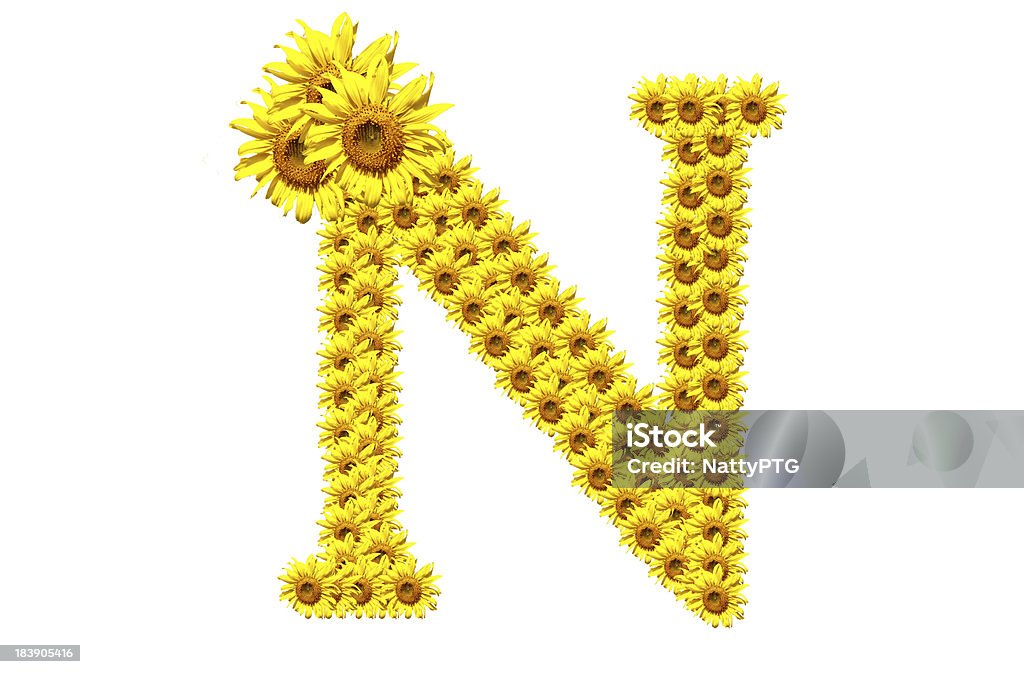 "N" sunflower alphabet "N" sunflower alphabet isolated on white background Abstract Stock Photo