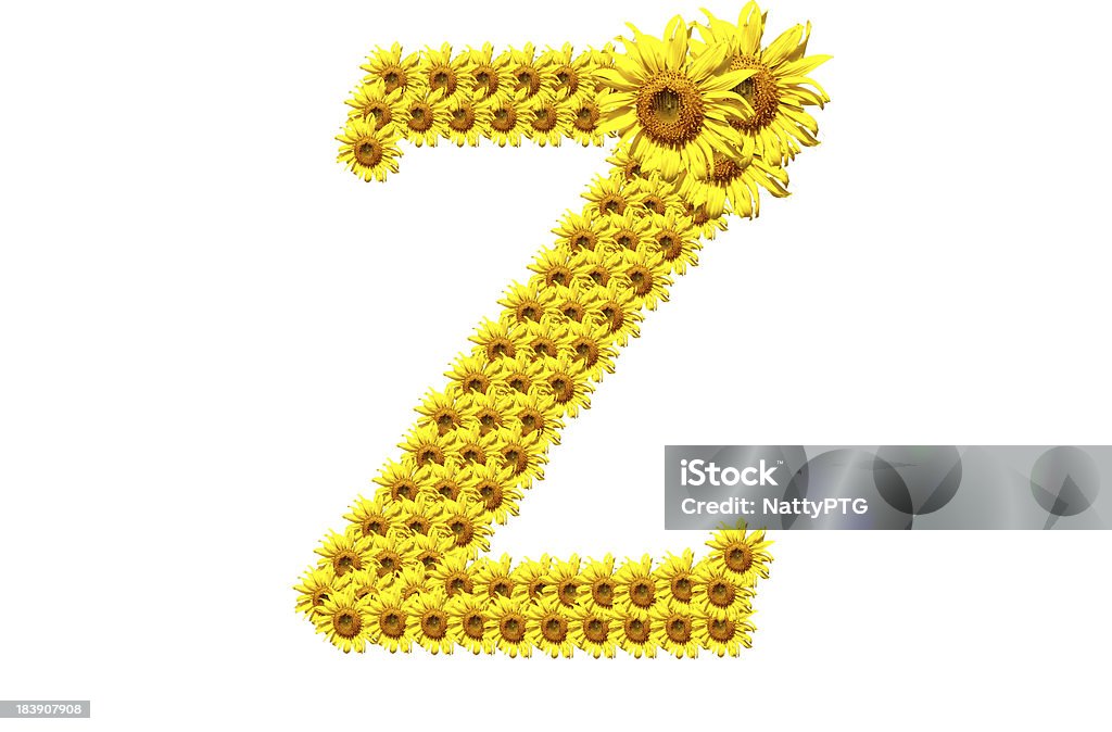 Girasole lettera "Z" - Foto stock royalty-free di Alfabeto