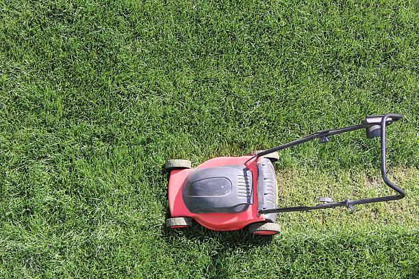 istock Grass cutter at the lawn 183909519
