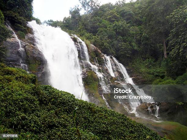 Тропический Водопад Chiangmai Таиланд — стоковые фотографии и другие картинки Ботаника - Ботаника, Верхушка дерева, Ветер