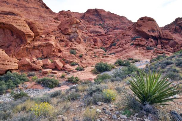 istock Red Rock Canyon National Conservation Area 1839133865