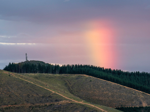 Stormy sky and rainbow over the Bright Pine Plantations in Victoria