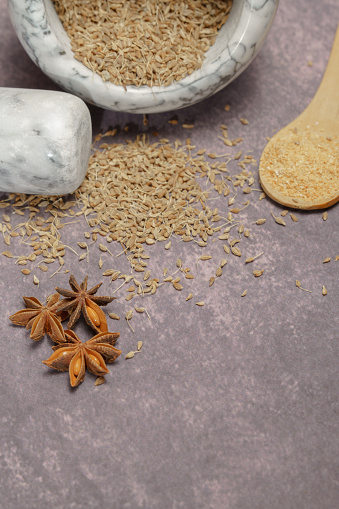 Whole dried anise seeds (Pimpinella anisum) in a ceramic mortar and pestle, with ground anise and star anise