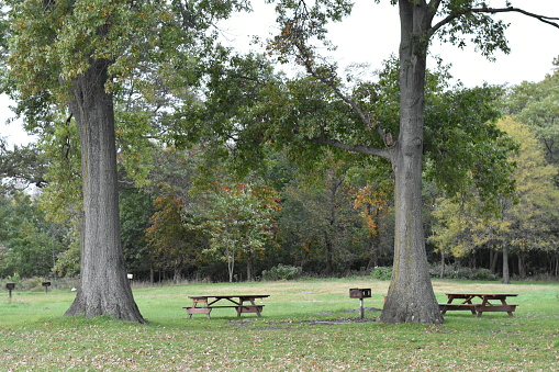 Picnic Area at Orchard Beach Park, Bronx, New York City, Fall Season