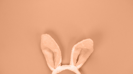 Decorative bunny ears furry fluffy costume toy. Image toned in peach color. Happy Easter concept. Simple minimalism flat lay top view copy space
