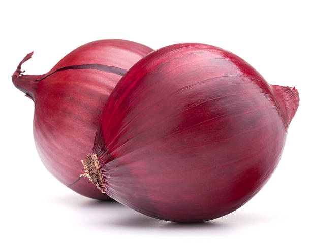 cebola vermelha lâmpada - spanish onion fotos imagens e fotografias de stock