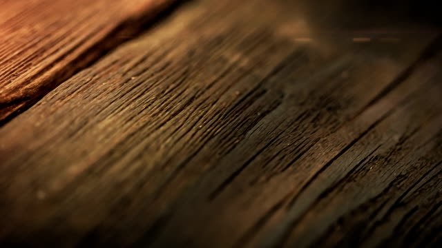Natural wood texture close-up