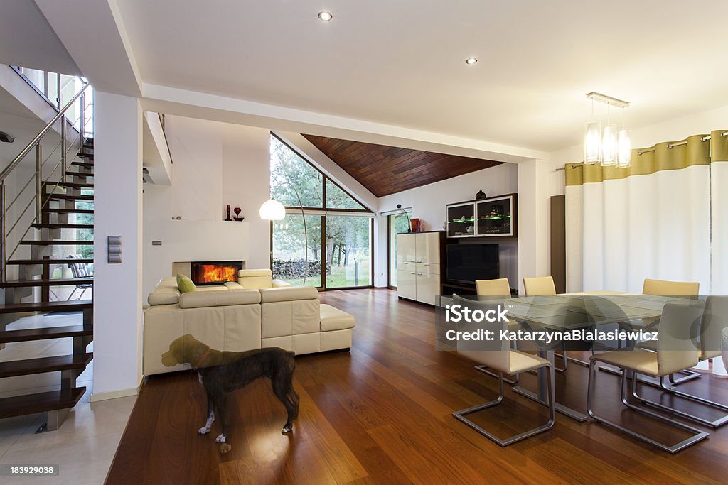 House interior Inside of stylish house with an attic Dog Stock Photo