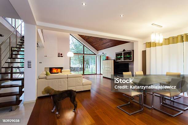 House Interior Stock Photo - Download Image Now - Dog, Living Room, Window