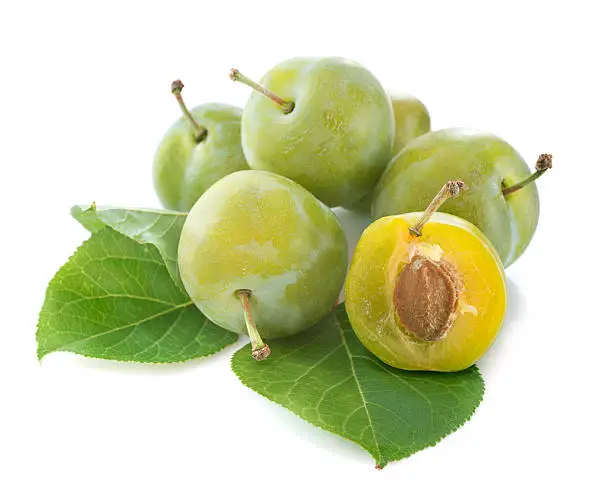 Greengage and leaf in front of white background