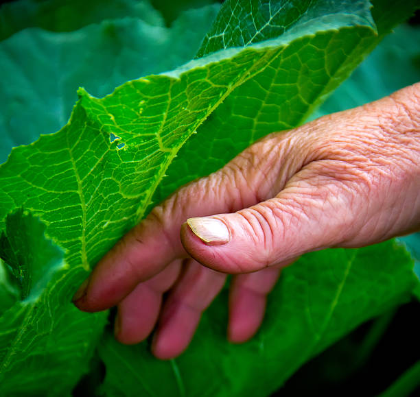 hands working