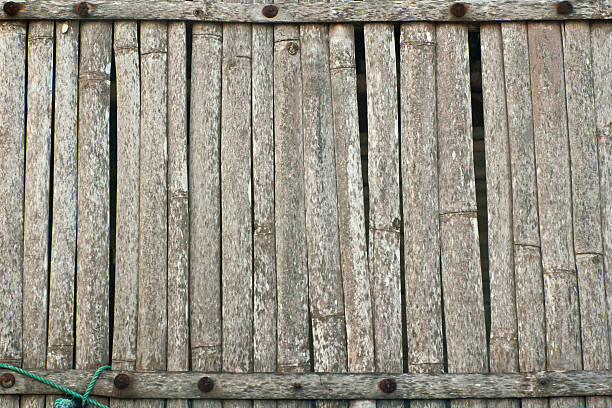 Bamboo texture stock photo