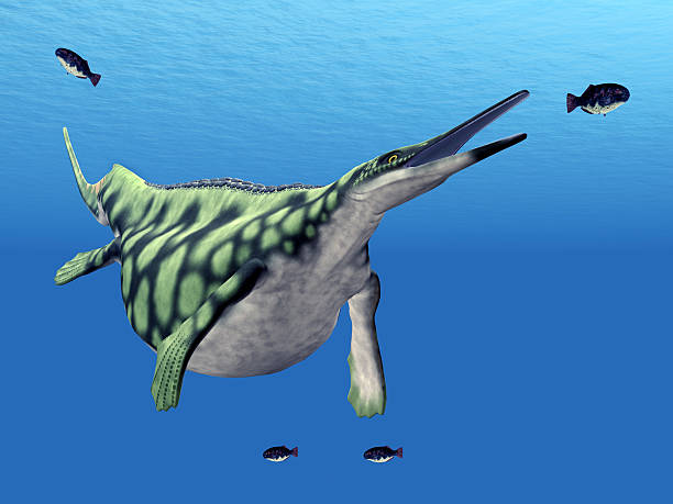 istock Marine Reptile Hupehsuchus 183937702