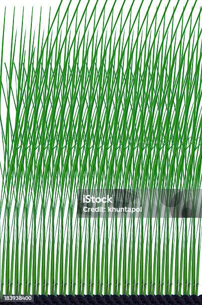 緑の田んぼの植物模様の背景 - カットアウトのストックフォトや画像を多数ご用意 - カットアウト, 人物なし, 写真