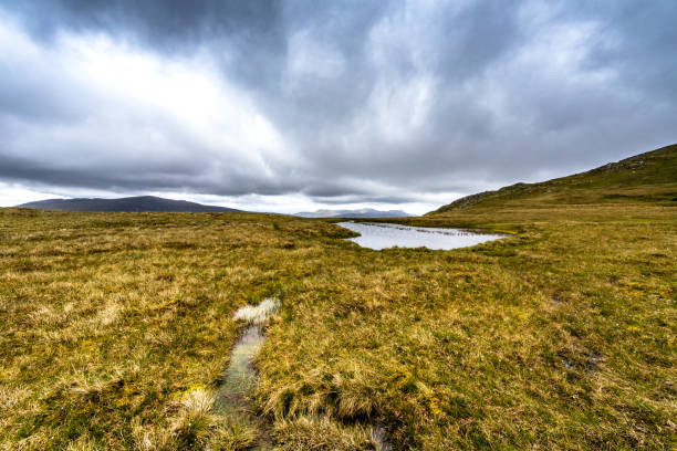 istock Snowdonia National Park in Wales 1839395252