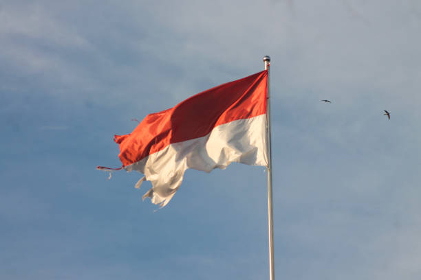 istock Old Indonesian flag on the wind 1839411399