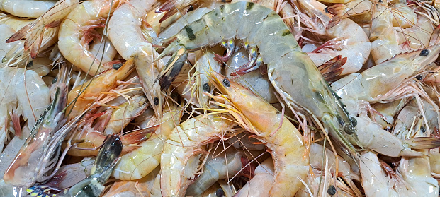 Heap of raw shrimps from the mediterranean sea for sale at fish market