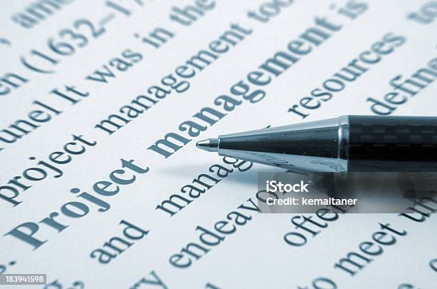 Project Management Stock Photo - Download Image Now - Balance, Bonding, Business