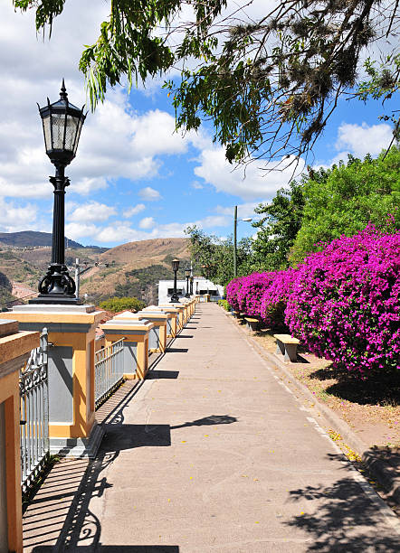 tegucigalpacity in hong kong, as honduras: la leona park - tegucigalpa imagens e fotografias de stock