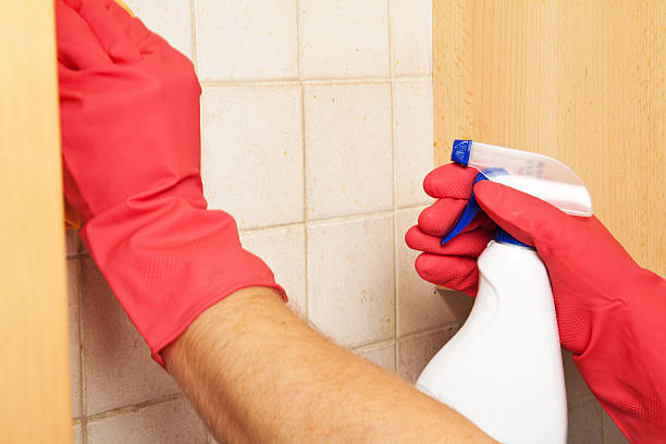 istock Hands in rubber gloves scrubbing bathroom tile with a sponge 183944124