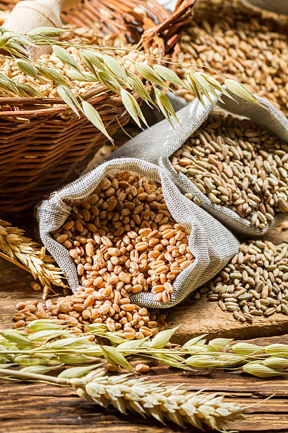 istock Rye, barley and wheat are the basis for good bread 183945290